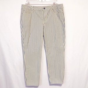 Ann Taylor 14P Stripe Curvy Fit Skinny Ankle Pants